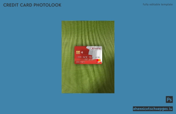 USA Georgia Gainesville First Century Bank Mastercard Photolook Beispielvorschau